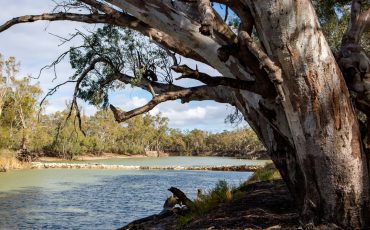 Best Rivers For Camping In South Australia
